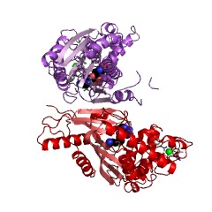 Example Structure of indole-3-acetate O-methyltransferase EC#: 2.1.1.278