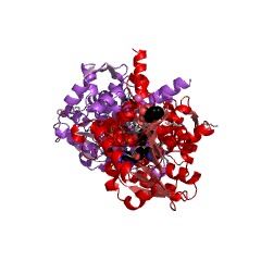 Example Structure of phenylpyruvate C3-methyltransferase EC#: 2.1.1.281