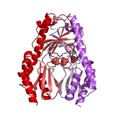 Example Structure of tRNAPhe 7-[(3-amino-3-carboxypropyl)-4-demethylwyosine37-N4]-methyltransferase EC#: 2.1.1.282