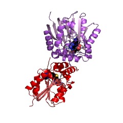 Example Structure of 8-demethylnovobiocic acid C8-methyltransferase EC#: 2.1.1.284