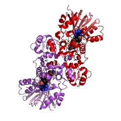 Example Structure of carminomycin 4-O-methyltransferase EC#: 2.1.1.292