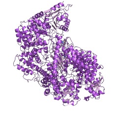 Example Structure of methyltransferase cap2 EC#: 2.1.1.296