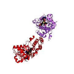 Example Structure of peptide chain release factor N5-glutamine methyltransferase EC#: 2.1.1.297