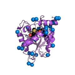 Example Structure of protein N-terminal monomethyltransferase EC#: 2.1.1.299