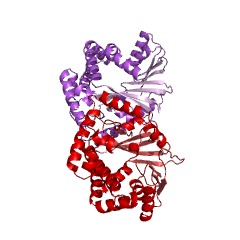 Example Structure of pavine N-methyltransferase EC#: 2.1.1.300