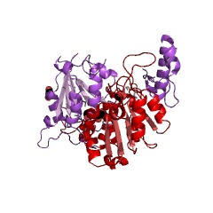 Example Structure of tRNA (guanine-N1-)-methyltransferase EC#: 2.1.1.31