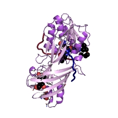 Example Structure of type I protein arginine methyltransferase EC#: 2.1.1.319