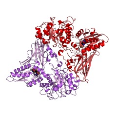 Example Structure of type II protein arginine methyltransferase EC#: 2.1.1.320
