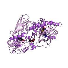 Example Structure of type III protein arginine methyltransferase EC#: 2.1.1.321