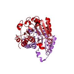 Example Structure of tRNA (guanine46-N7)-methyltransferase EC#: 2.1.1.33