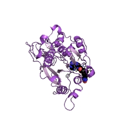 Example Structure of DNA (cytosine-5-)-methyltransferase EC#: 2.1.1.37