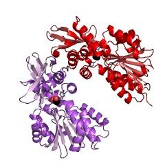 Example Structure of L-histidine Nalpha-methyltransferase EC#: 2.1.1.44
