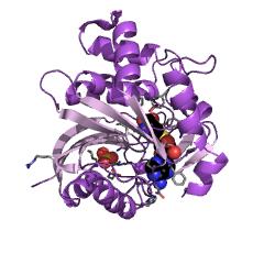 Example Structure of amine N-methyltransferase EC#: 2.1.1.49