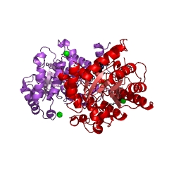 Contoh Struktur Betaine-homocysteine ​​S-methyltransferase EC #: 2.1.1.5