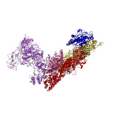 Example Structure of mRNA (guanine-N7)-methyltransferase EC#: 2.1.1.56