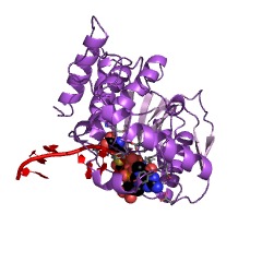 Example Structure of methyltransferase cap1 EC#: 2.1.1.57