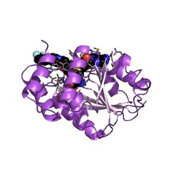 Example Structure of catechol O-methyltransferase EC#: 2.1.1.6