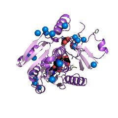 Example Structure of calmodulin-lysine N-methyltransferase EC#: 2.1.1.60