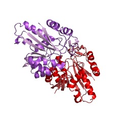 Example Structure of tRNA (5-methylaminomethyl-2-thiouridylate)-methyltransferase EC#: 2.1.1.61