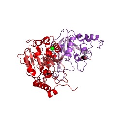 Example Structure of mRNA (2'-O-methyladenosine-N6-)-methyltransferase EC#: 2.1.1.62