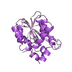 Example Structure of 3-demethylubiquinol 3-O-methyltransferase EC#: 2.1.1.64