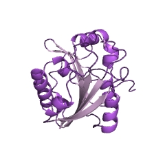 Example Structure of thiopurine S-methyltransferase EC#: 2.1.1.67