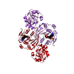 Example Structure of site-specific DNA-methyltransferase (adenine-specific) EC#: 2.1.1.72