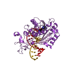 Example Structure of site-specific DNA-methyltransferase (cytosine-specific) EC#: 2.1.1.73