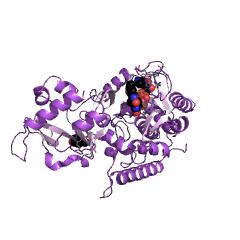 Example Structure of methylenetetrahydrofolate-tRNA-(uracil54-C5)-methyltransferase (FADH2-oxidizing) EC#: 2.1.1.74