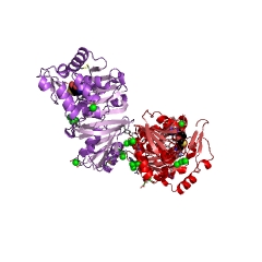 Example Structure of protein-L-isoaspartate(D-aspartate) O-methyltransferase EC#: 2.1.1.77