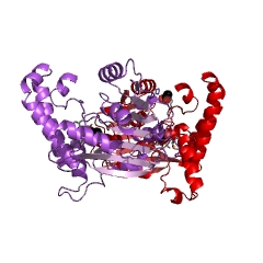 Example Structure of cyclopropane-fatty-acyl-phospholipid synthase EC#: 2.1.1.79