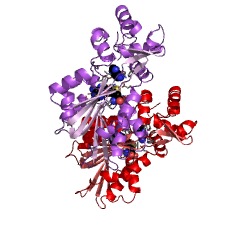 Example Structure of histamine N-methyltransferase EC#: 2.1.1.8