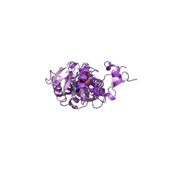 Example Structure of protein-glutamate O-methyltransferase EC#: 2.1.1.80