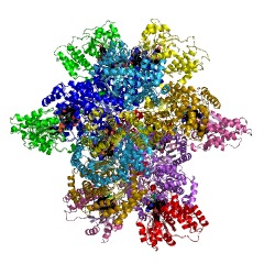 Example Structure of methanol-corrinoid protein Co-methyltransferase EC#: 2.1.1.90