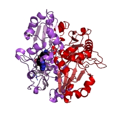 Example Structure of diphthine synthase EC#: 2.1.1.98