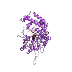 Example Structure of glycine hydroxymethyltransferase EC#: 2.1.2.1