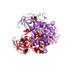 Example Structure of aminomethyltransferase EC#: 2.1.2.10