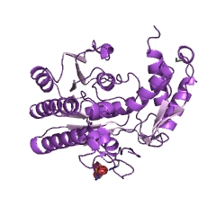 Example Structure of UDP-4-amino-4-deoxy-L-arabinose formyltransferase EC#: 2.1.2.13