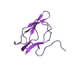 Example Structure of methylmalonyl-CoA carboxytransferase EC#: 2.1.3.1