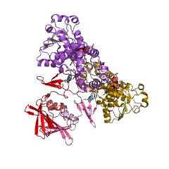 Example Structure of aspartate carbamoyltransferase EC#: 2.1.3.2