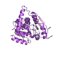 Example Structure of ornithine carbamoyltransferase EC#: 2.1.3.3