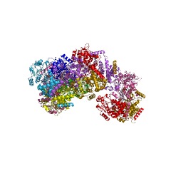 Example Structure of putrescine carbamoyltransferase EC#: 2.1.3.6
