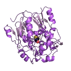 Example Structure of glycine amidinotransferase EC#: 2.1.4.1