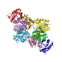 Example Structure of molybdopterin molybdotransferase EC#: 2.10.1.1