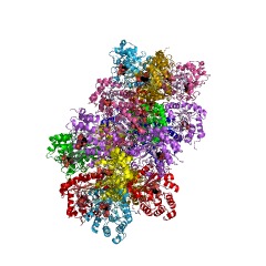 Example Structure of 2-amino-3,7-dideoxy-D-threo-hept-6-ulosonate synthase EC#: 2.2.1.10