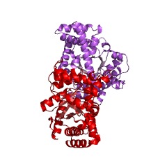 Example Structure of transaldolase EC#: 2.2.1.2