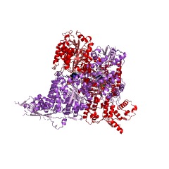 Example Structure of 2-hydroxy-3-oxoadipate synthase EC#: 2.2.1.5