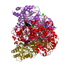 Example Structure of 2-succinyl-5-enolpyruvyl-6-hydroxy-3-cyclohexene-1-carboxylic-acid synthase EC#: 2.2.1.9