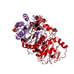 Example Structure of amino-acid N-acetyltransferase EC#: 2.3.1.1