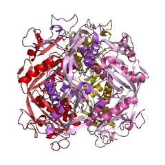 Example Structure of formylmethanofuran-tetrahydromethanopterin N-formyltransferase EC#: 2.3.1.101